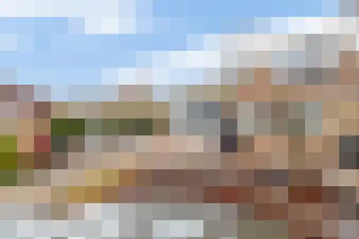 Scholekster 9 Lemmer thumbnail 31