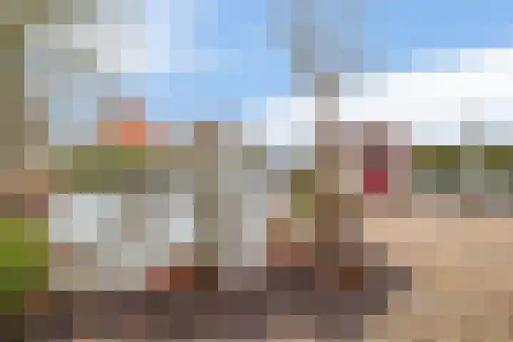 Scholekster 9 Lemmer thumbnail 32