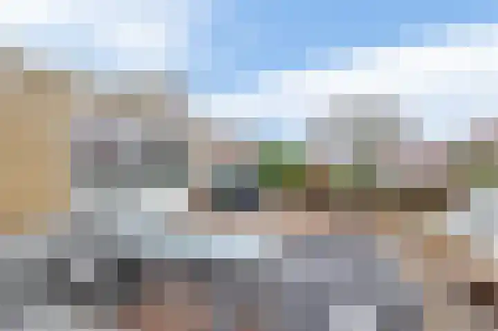 Scholekster 9 Lemmer thumbnail 33