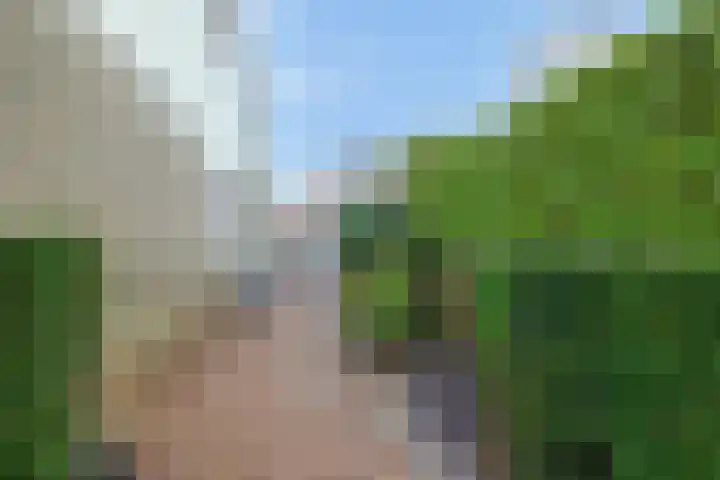 Scholekster 9 Lemmer thumbnail 35