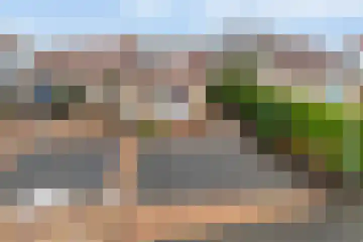 Scholekster 9 Lemmer thumbnail 36