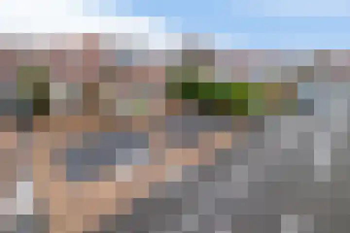 Scholekster 9 Lemmer thumbnail 37