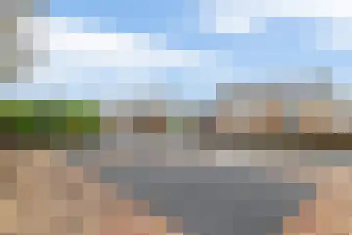 Scholekster 9 Lemmer thumbnail 38
