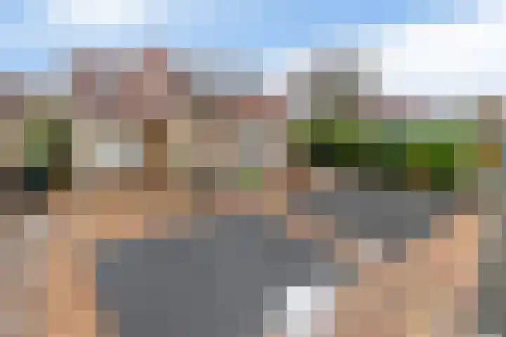 Scholekster 9 Lemmer thumbnail 4