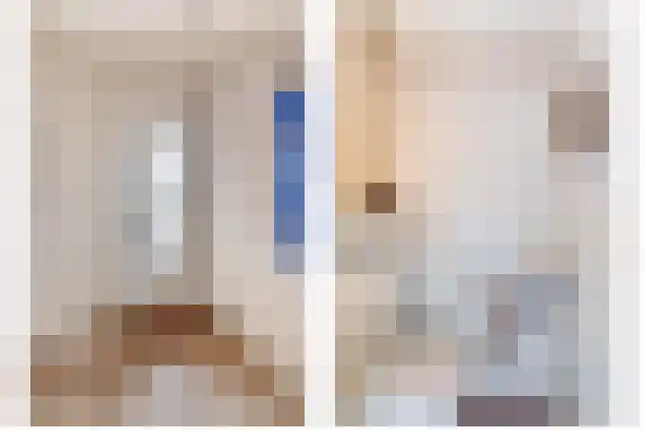 Scholekster 9 Lemmer thumbnail 5
