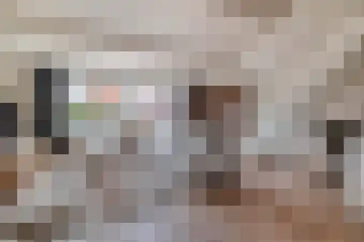 Scholekster 9 Lemmer thumbnail 7