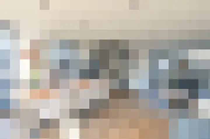 Scholekster 95 Eemnes thumbnail 12