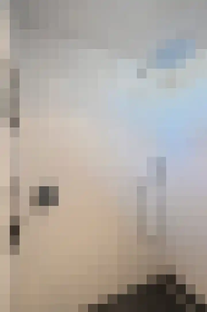 Scholekster 95 Eemnes thumbnail 15