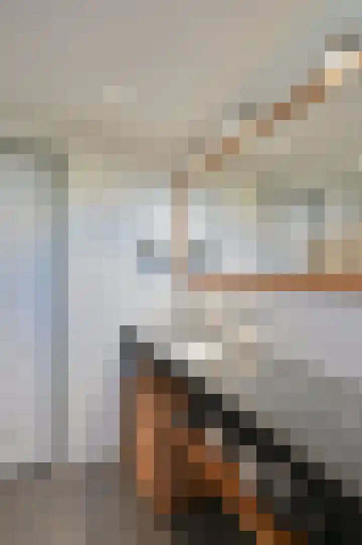 Scholekster 95 Eemnes thumbnail 16