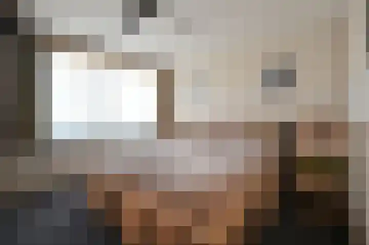 Scholekster 95 Eemnes thumbnail 17