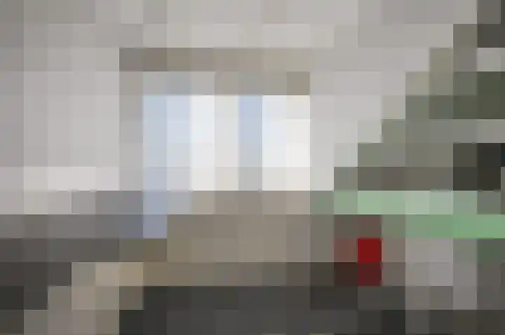 Scholekster 95 Eemnes thumbnail 22
