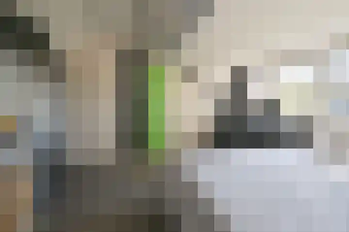 Scholekster 95 Eemnes thumbnail 23