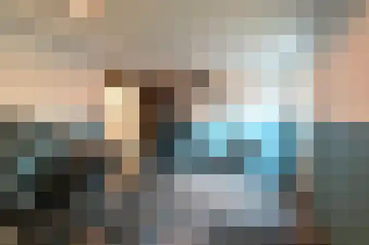 Scholekster 95 Eemnes thumbnail 24