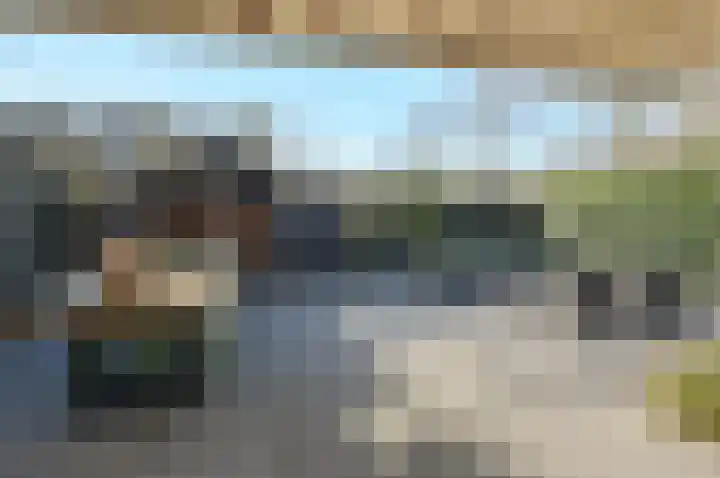 Scholekster 95 Eemnes thumbnail 28