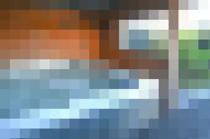 Scholekster 95 Eemnes thumbnail 29