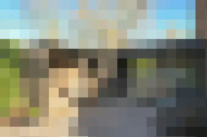 Scholekster 95 Eemnes thumbnail 31