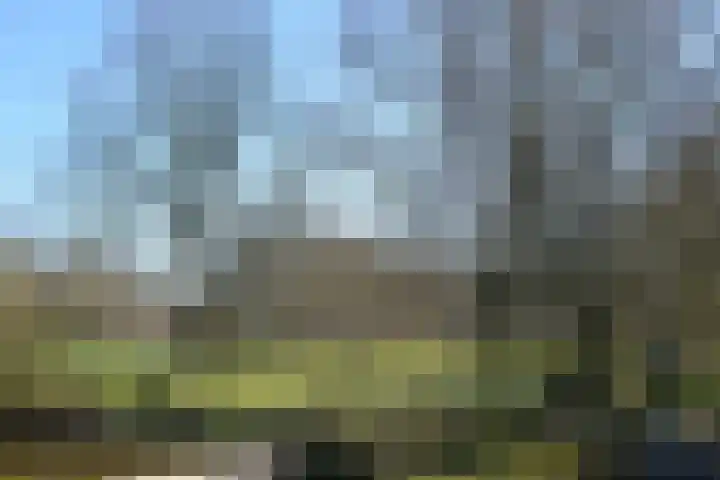 Scholekster 95 Eemnes thumbnail 33