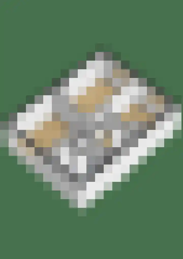 Scholekster 95 Eemnes thumbnail 37