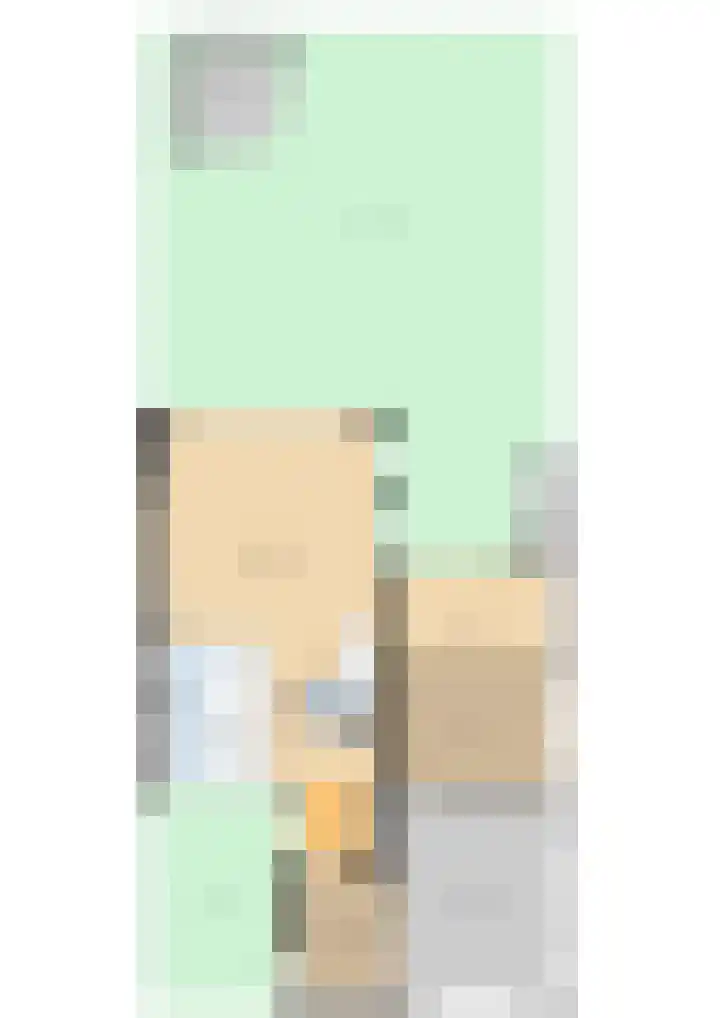 Scholekster 95 Eemnes thumbnail 40