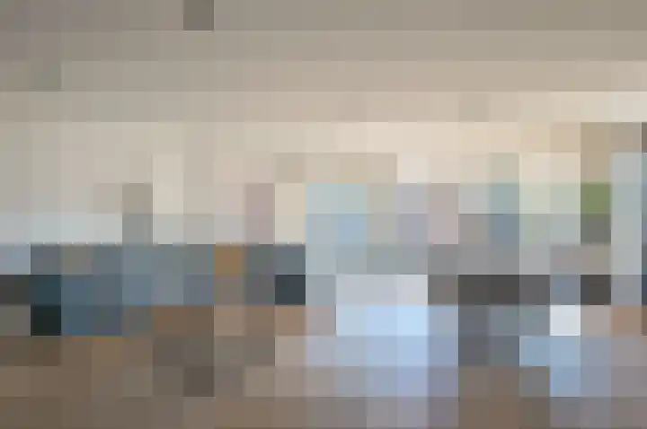 Scholekster 95 Eemnes thumbnail 8