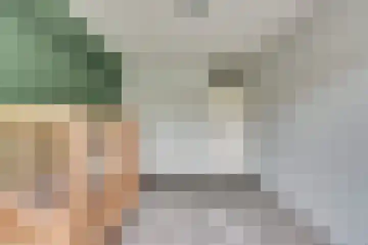 Scholeksterhoek 1 Spijkenisse thumbnail 12