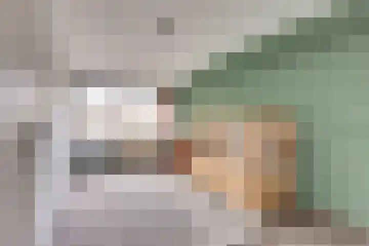 Scholeksterhoek 1 Spijkenisse thumbnail 13