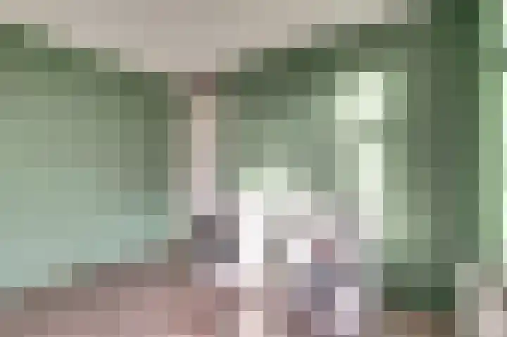 Scholeksterhoek 1 Spijkenisse thumbnail 15