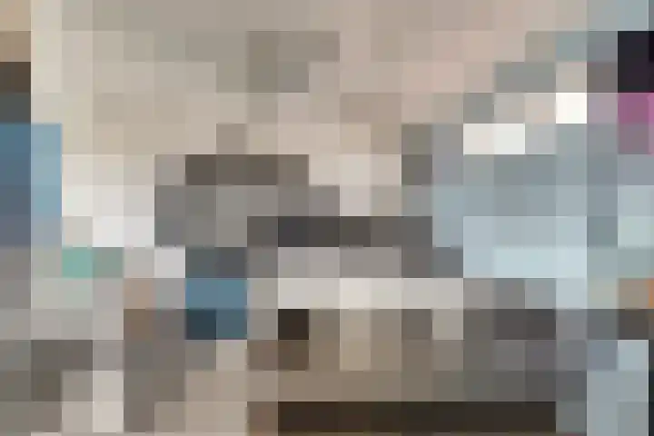 Scholeksterhoek 1 Spijkenisse thumbnail 17