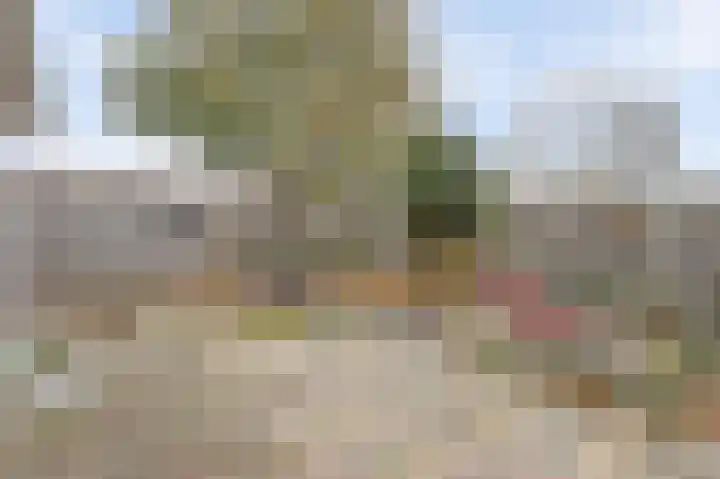 Scholeksterhoek 1 Spijkenisse thumbnail 22