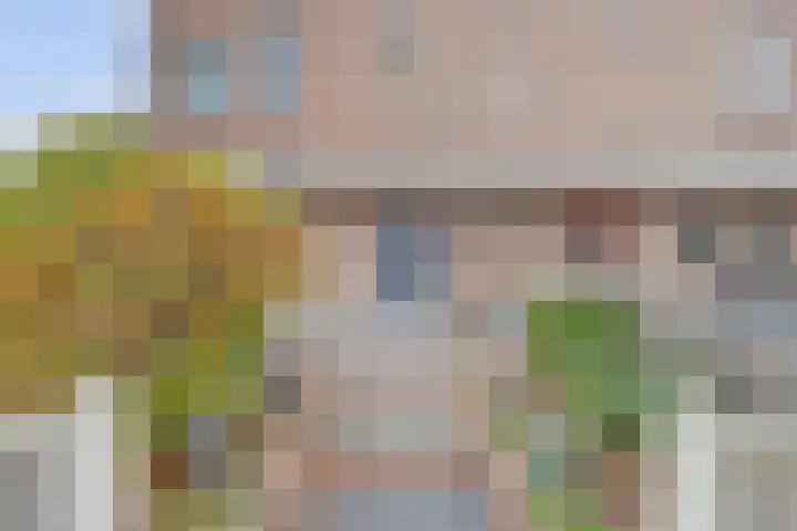 Scholeksterhoek 1 Spijkenisse thumbnail 23