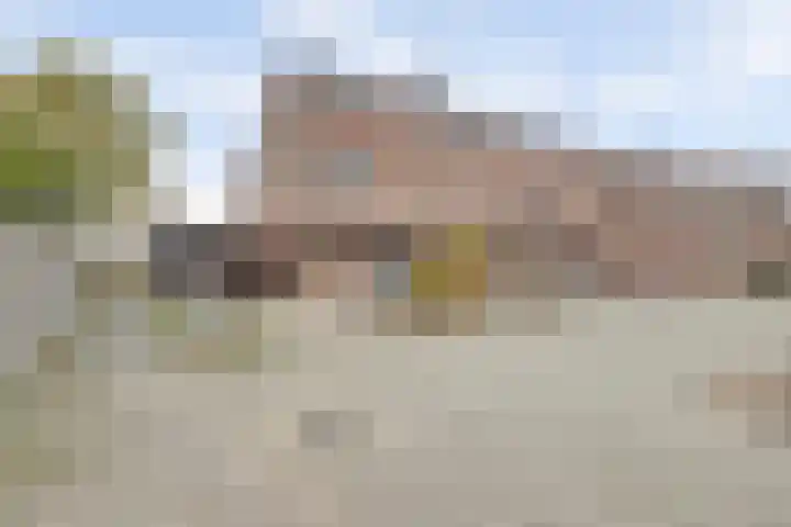 Scholeksterhoek 1 Spijkenisse thumbnail 25