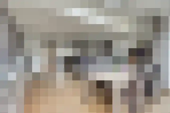 Scholeksterhoek 1 Spijkenisse thumbnail 6