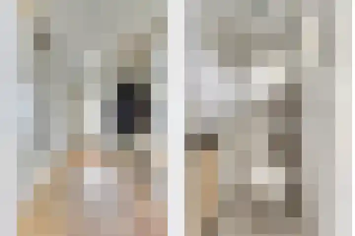 Scholeksterhoek 1 Spijkenisse thumbnail 7