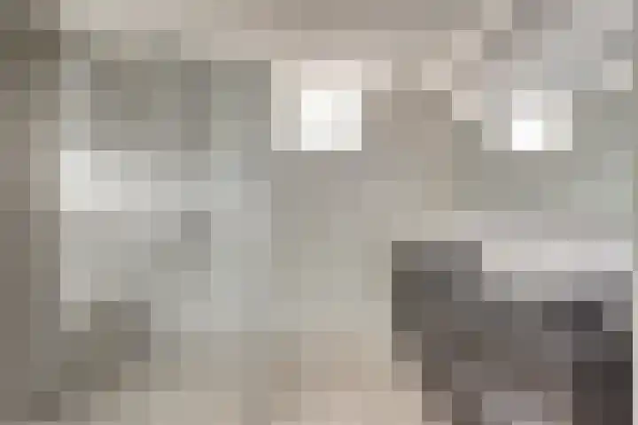 Scholeksterhoek 1 Spijkenisse thumbnail 8