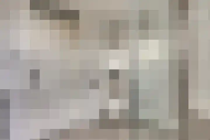Scholeksterhoek 1 Spijkenisse thumbnail 9