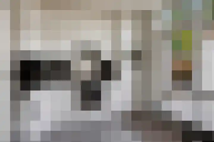Scholeksterhof 32 Purmerend thumbnail 17