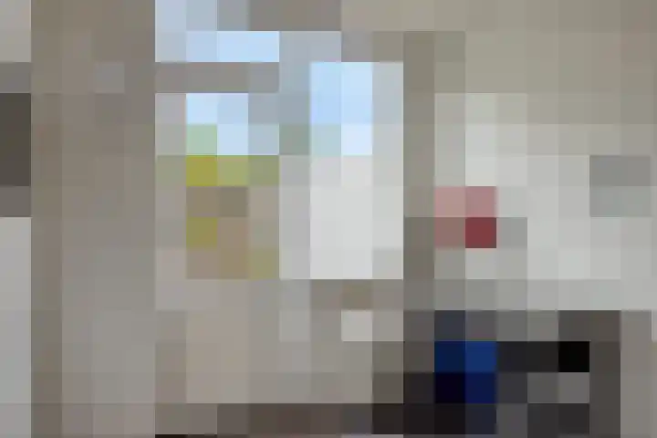 Scholeksterhof 32 Purmerend thumbnail 19