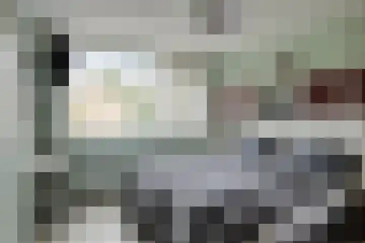 Scholeksterhof 32 Purmerend thumbnail 22