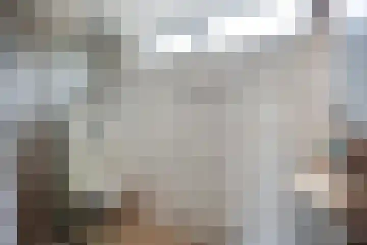 Scholeksterhof 32 Purmerend thumbnail 25