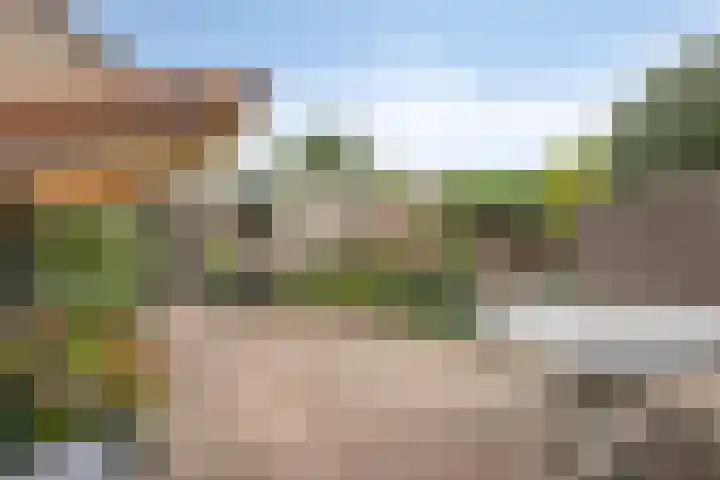 Scholeksterhof 32 Purmerend thumbnail 38