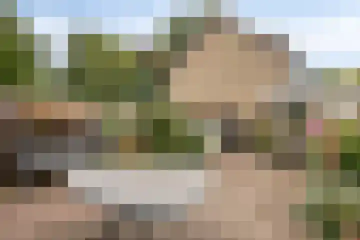 Scholeksterhof 32 Purmerend thumbnail 39