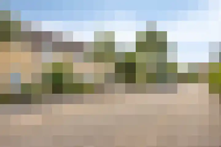 Scholeksterhof 32 Purmerend thumbnail 42