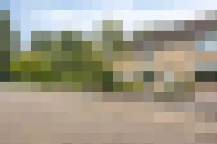 Scholeksterhof 32 Purmerend thumbnail 5