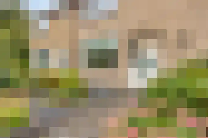 Scholeksterhof 32 Purmerend thumbnail 6