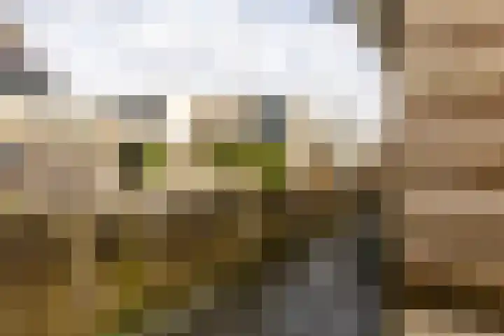 Scholeksterhof 39 Moordrecht thumbnail 40