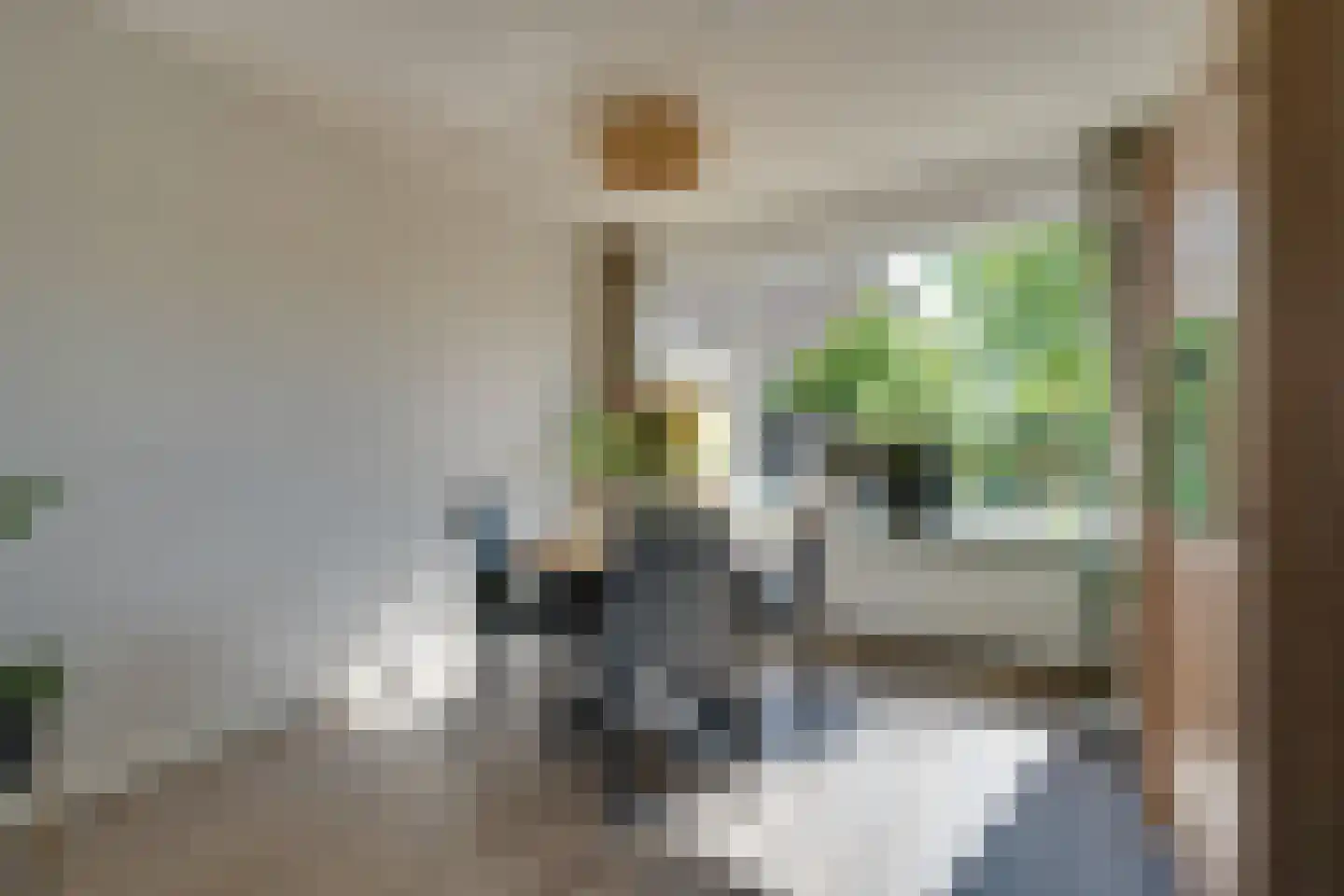 Scholeksterhof 48 Purmerend thumbnail 12