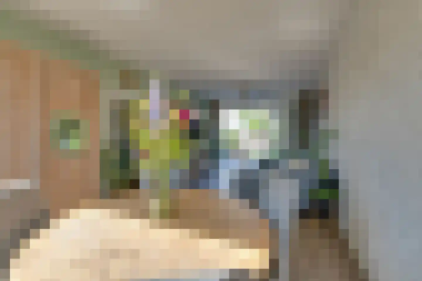 Scholeksterhof 48 Purmerend thumbnail 14