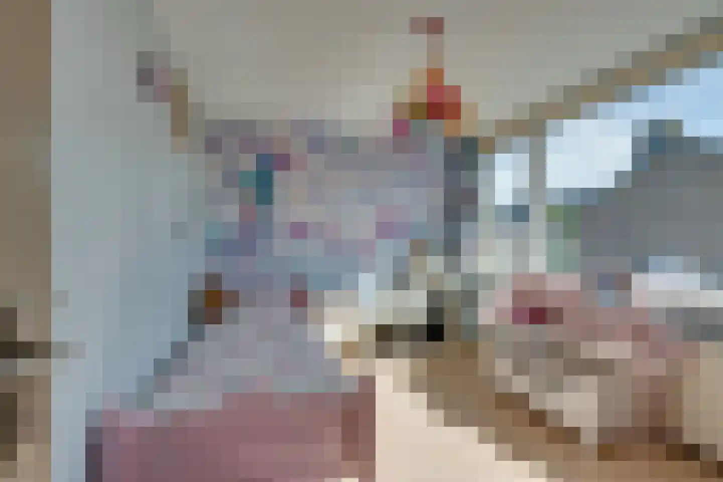 Scholeksterhof 48 Purmerend thumbnail 33