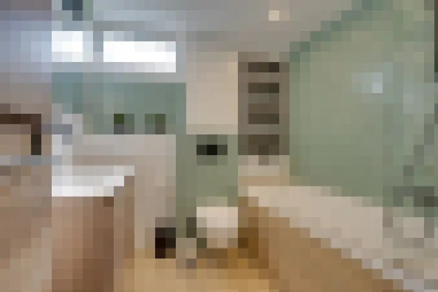Scholeksterhof 48 Purmerend thumbnail 44