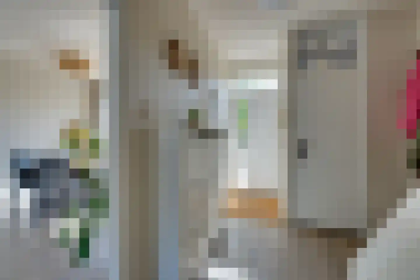 Scholeksterhof 48 Purmerend thumbnail 8
